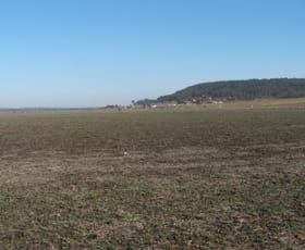 Rural / Farming commercial property sold at Warwick QLD 4370