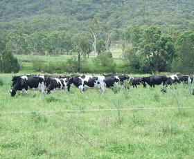 Rural / Farming commercial property sold at 377 Bourkes RD, Gladfield Warwick QLD 4370
