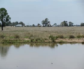 Rural / Farming commercial property sold at 1044 ACRES BRIGALOW BELAH Chinchilla QLD 4413 Rural / Farming commercial property sold at 1044 ACRES BRIGALOW BELAH Chinchilla QLD 4413