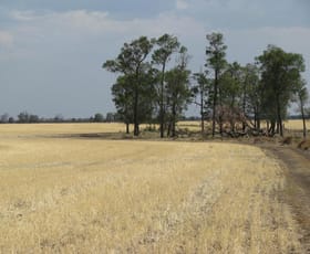 Rural / Farming commercial property sold at 2080 ACRES 5 KM FROM Tara QLD 4421