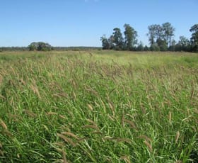 Rural / Farming commercial property sold at ORIENT, 5372 ACRES QUALITY GRAZING Miles QLD 4415