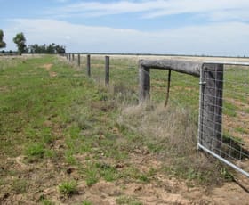 Rural / Farming commercial property sold at 2438 ACRES BRIGALOW-BELAH Tara QLD 4421