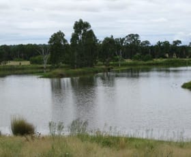 Rural / Farming commercial property sold at 322 ACRES VENDOR RELOCATING Jandowae QLD 4410 Rural / Farming commercial property sold at 322 ACRES VENDOR RELOCATING Jandowae QLD 4410