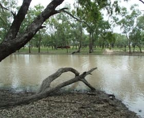Rural / Farming commercial property sold at 180 Commissioners Point Road St George QLD 4487