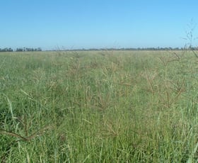 Rural / Farming commercial property sold at - Chinchilla Wondai Road Canaga QLD 4413 Rural / Farming commercial property sold at - Chinchilla Wondai Road Canaga QLD 4413