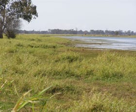 Rural / Farming commercial property sold at 21 Fairybower Lane Gracemere QLD 4702