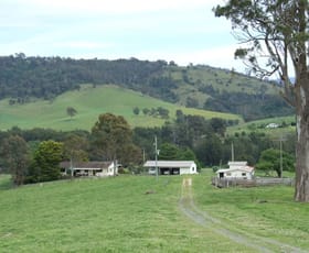 Rural / Farming commercial property sold at 129 Glen Oaks Road Brogo NSW 2550