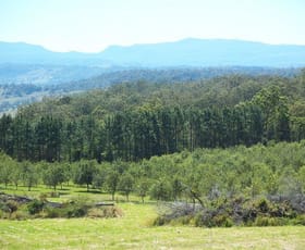 Rural / Farming commercial property sold at Lismore NSW 2480