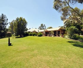 Rural / Farming commercial property sold at 617 Hermitage Road Pokolbin NSW 2320