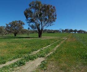 Rural / Farming commercial property sold at "ROSEDALE" RATHMELLS LANE Cootamundra NSW 2590