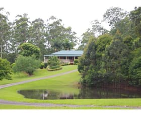 Rural / Farming commercial property sold at 84 Orara Lane Mortons Creek NSW 2446