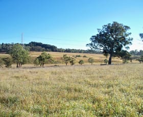 Rural / Farming commercial property sold at Lot 37 George Parade Portland NSW 2847