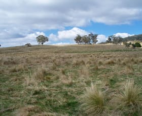 Rural / Farming commercial property sold at 147 Old Western Highway Mount Lambie NSW 2790