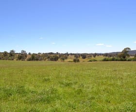 Rural / Farming commercial property sold at Lot 14 Thompsons Creek Road Pipers Flat NSW 2847