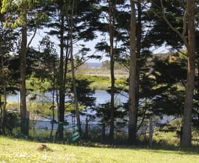 Rural / Farming commercial property sold at Bermagui NSW 2546