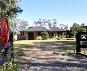 Rural / Farming commercial property sold at 269 Talga Road Rothbury NSW 2320