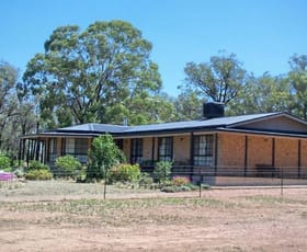 Rural / Farming commercial property sold at 6015 Burley Griffen Way Temora NSW 2666