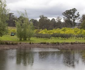 Rural / Farming commercial property sold at Wandella NSW 2550