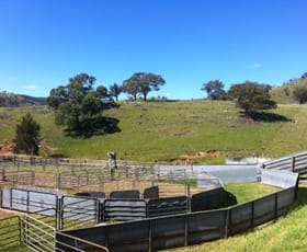 Rural / Farming commercial property sold at LOT 49 Hill End Road Hargraves NSW 2850
