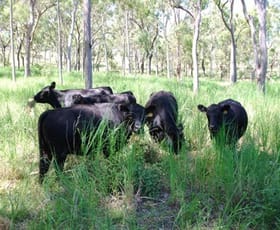Rural / Farming commercial property sold at 3354 Emu Park Road Emu Park QLD 4710