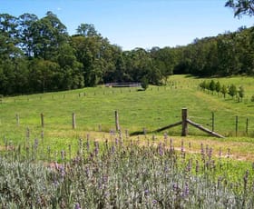 Rural / Farming commercial property sold at 82 Stapleton Road Laguna NSW 2325