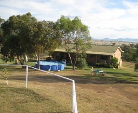 Rural / Farming commercial property sold at Loomberah NSW 2340