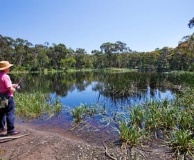 Rural / Farming commercial property sold at 65 Portreath Road Bellbrae VIC 3228