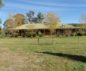 Rural / Farming commercial property sold at 369 Moody's Hill Road Maragle NSW 2653