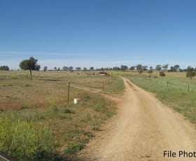 Rural / Farming commercial property sold at 157 Tarwong Rd Maryvale NSW 2820