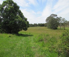 Rural / Farming commercial property sold at Lot 55 Foxs Lane Tyagarah NSW 2481