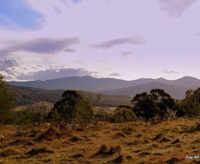 Rural / Farming commercial property sold at 86 Grey Gums Rd Majors Creek NSW 2622