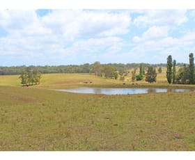 Rural / Farming commercial property sold at Lot 3, 1547 George Booth Drive Buchanan NSW 2323
