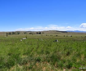 Rural / Farming commercial property sold at 10315 Nerriga Road Braidwood NSW 2622