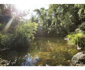 Rural / Farming commercial property sold at Gloucester NSW 2422 Rural / Farming commercial property sold at Gloucester NSW 2422