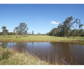 Rural / Farming commercial property sold at Proposed Lot 3, 20 Littlewood Road Rothbury NSW 2320