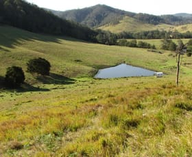 Rural / Farming commercial property sold at Gloucester NSW 2422