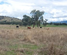 Rural / Farming commercial property sold at 213 Gundowring Road Gundowring VIC 3691