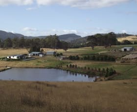 Rural / Farming commercial property sold at 173 Campbells Road Woodsdale TAS 7120