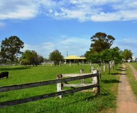 Rural / Farming commercial property sold at 20 Kelman Street Belford NSW 2335 Rural / Farming commercial property sold at 20 Kelman Street Belford NSW 2335