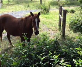 Rural / Farming commercial property sold at Kyogle NSW 2474