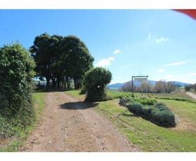 Rural / Farming commercial property sold at Neville NSW 2799