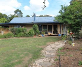 Rural / Farming commercial property sold at 338 Pinchin Rd Goolmangar NSW 2480