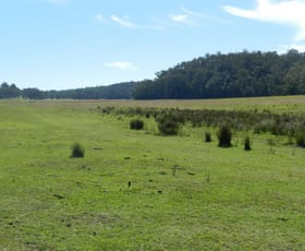 Rural / Farming commercial property sold at Cattai NSW 2756