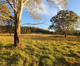 Rural / Farming commercial property sold at 599 Congewai Road Congewai NSW 2325