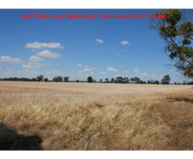 Rural / Farming commercial property sold at 302 Hopkins Road Katamatite VIC 3649