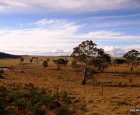 Rural / Farming commercial property sold at 86 Grey Gums Rd Majors Creek NSW 2622