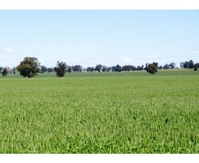 Rural / Farming commercial property sold at 1327 Lockhart Road Walbundrie NSW 2642