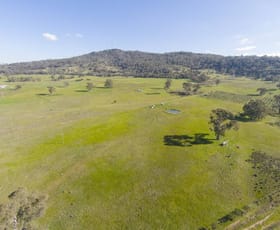 Rural / Farming commercial property sold at 50 Richards Road Sutton Grange VIC 3448