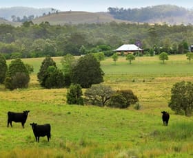 Rural / Farming commercial property sold at 49 Maddens Lane Wards River NSW 2422