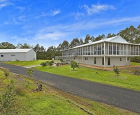 Rural / Farming commercial property sold at 239 Smiths Road Dooralong NSW 2259